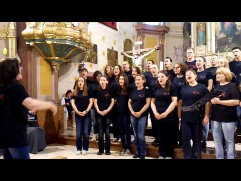 Susret zborova -  Dušo Kristova