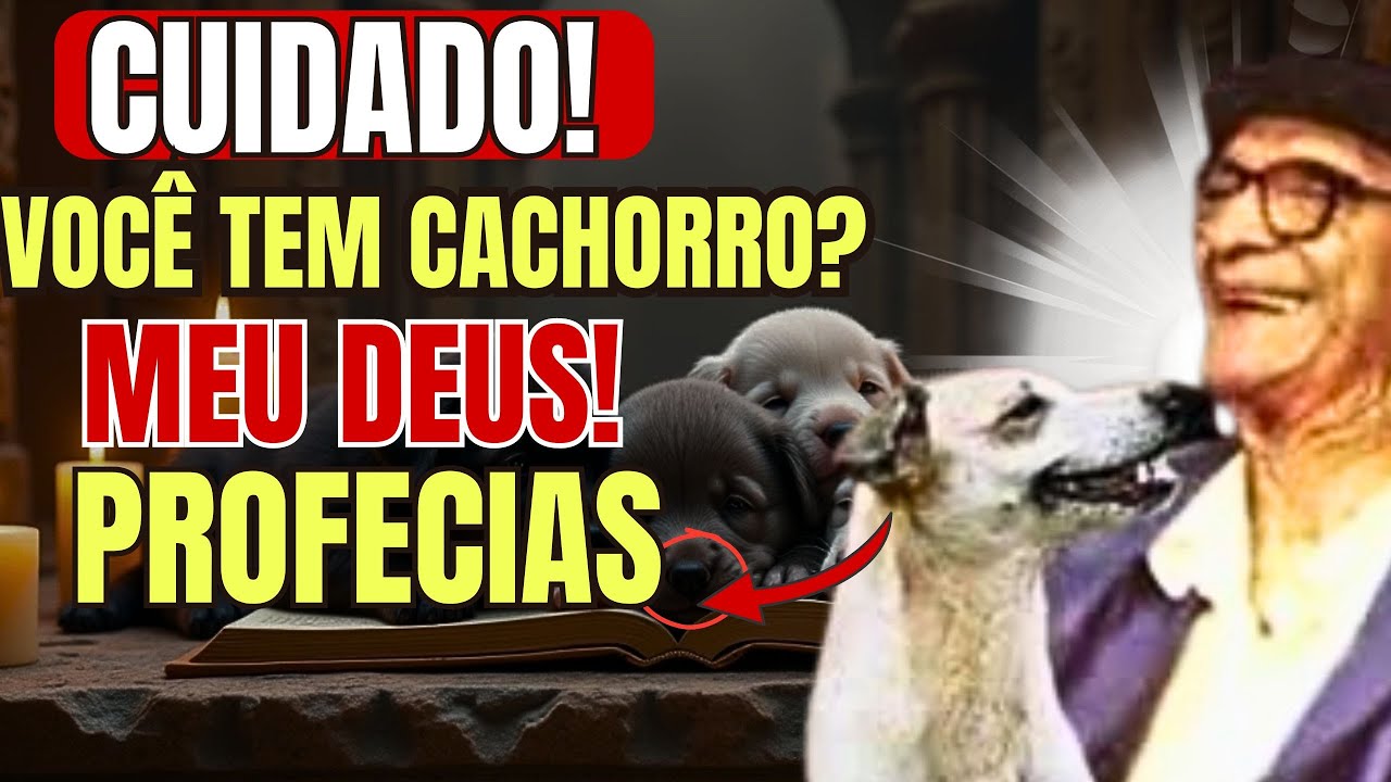 CUIDADO Revelação de Chico Xavier – O Que Ele Previu para Quem Tem Cachorro I Profecias Inéditas