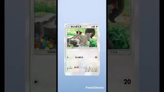 【ポケポケ】毎日ガチャ🔴ヒスイゾロアーク# #pokemon #ポケカ再販最新情報 # #ポケモンカード #おれポケ #pokemoncards #ポケモン #pokemontcg #ポケカ