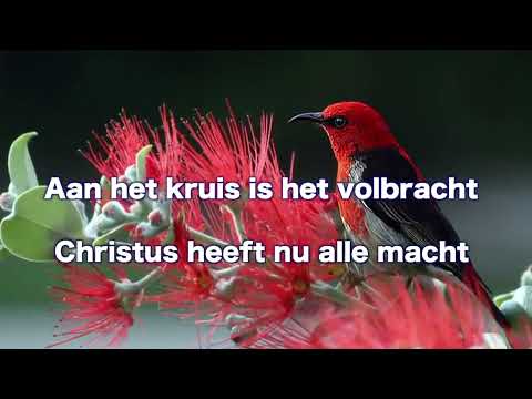 Opwekking 781 Jezus redt 1B