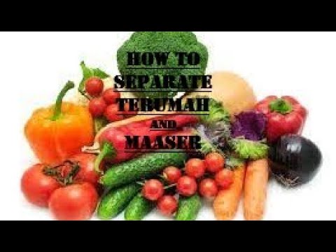 Video on Separating Terumah and Maaser