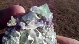 preview picture of video 'William Wise Mine Fluorite Specimen , Westmoreland, Cheshire Co., New Hampshire'