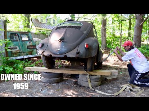 Oval Vw Beetle Rescue - Rare 1956 found Sitting 40 Years Pulled from its Grave - Saving it!