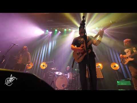 S.E.T.A. SZKODA SŁÓW - LIVE KONCERT