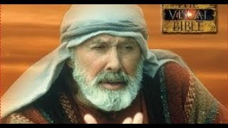 El evangelio según Mateo - Película (Segunda parte)