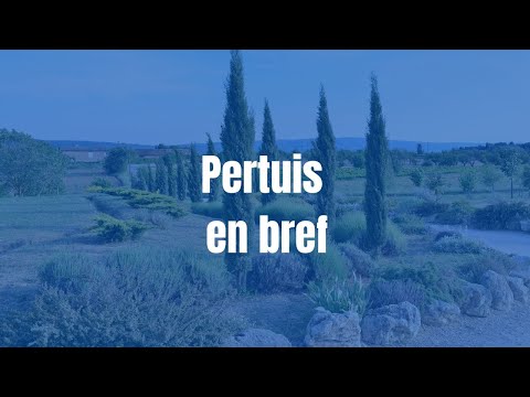 Video vignette