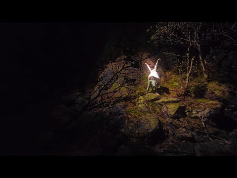 Boss Axis  - Depends on You (Offizielles Musikvideo)