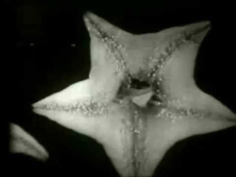 Zota Layer - Every Time It Rains