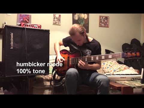 6 string semi hollow bass made by Oleg Lobanov