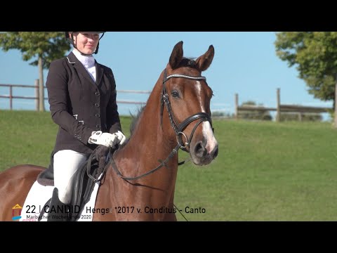 22 Candid v. Conditus - Canto  *MARBACHER WOCHENENDE 2020*