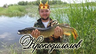 Ссылка