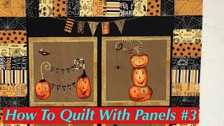 How to Quilt With Panels #3:  Pieced Borders
