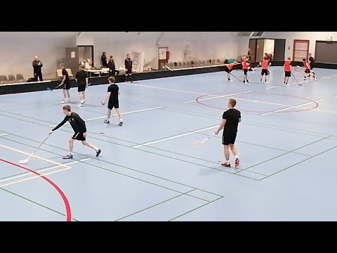 P22 Welhot - Blackbirds