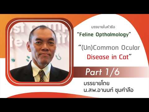 (Un) Common Ocular Disease in Cat Part 1/6