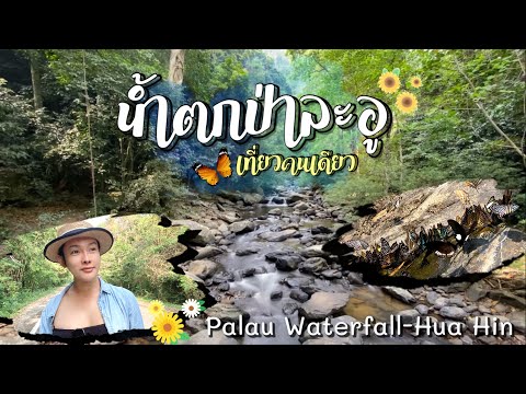 น้ำตกป่าละอู