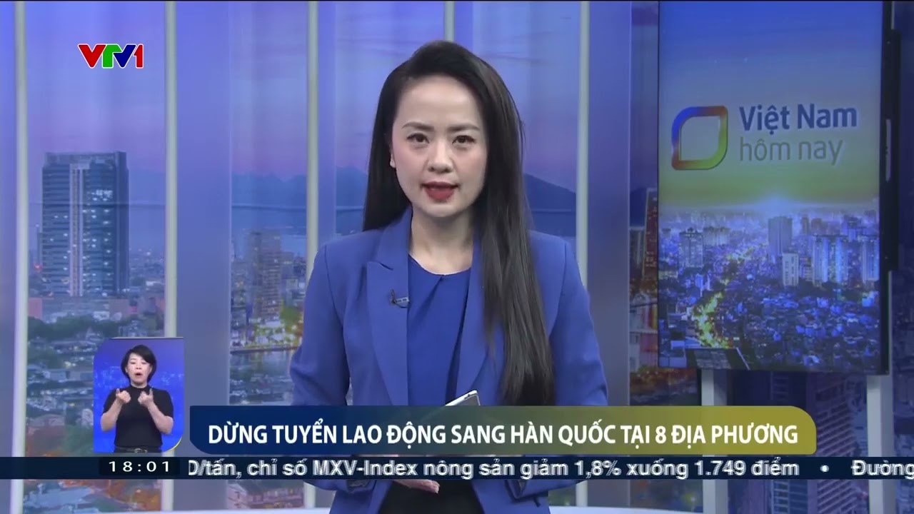 Video định hướng thị trường lao động