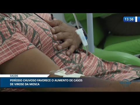 Período chuvoso favorece o aumento de casos de Virose da Mosca 23 02 2021