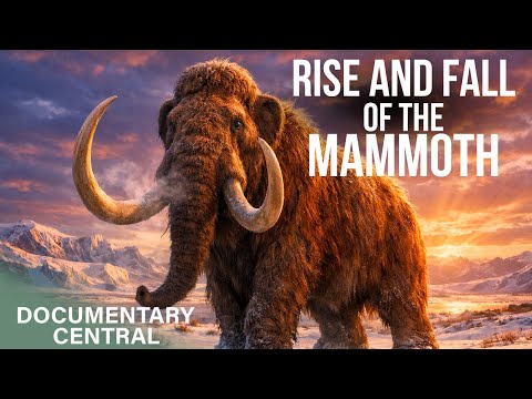 What Really Killed The Woolly Mammoths? | Ice Age Giants Documentary