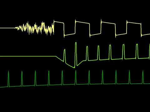 C64 SID KEYGEN MUSIC / Kamil Wolnikowski ( Jammer )