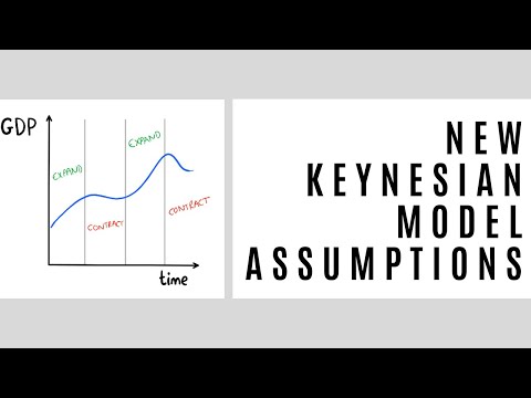 New Keynesian Model: Assumptions