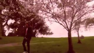 Animal Collective - Recycling (unofficial video)