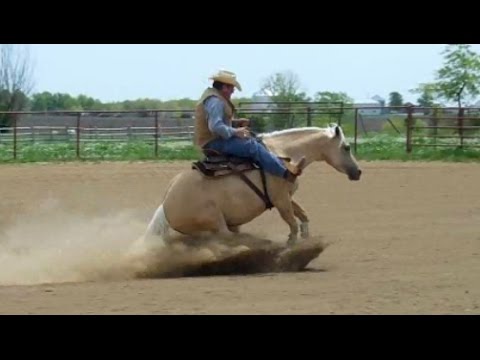 Jim Dudley and Tullula can Hula Bridleless