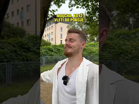 Moucha dostala výprask ????