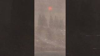 Music video thumbnail preview for femtanyl \u0026 astrid - WAR GIRL (official video) by femtanyl