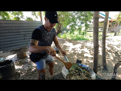 EP660-P2 - Soft Shell Turtle Hunting | Catch and Cook