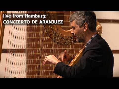 Rodrigo - Concierto de Aranjuez arr. for harp - Adagio. Josh Layne, live