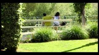 IE-LIFE  |  There is something on my head