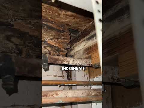 Extensive Rot Beam Damage in House #structural #diy