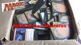 Ouverture d'un lot exceptionnel de plus de 6000 cartes Magic The Gathering payé 58 euros sur Ebay