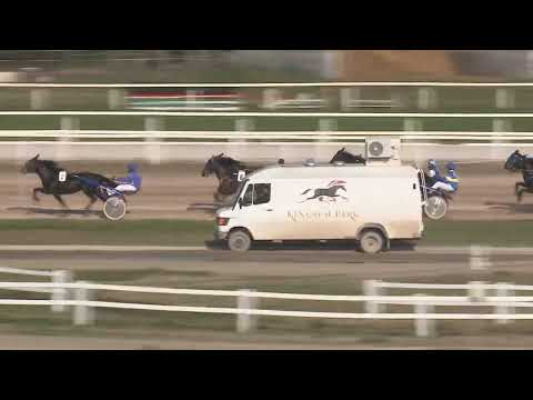 2022.12.03. 04. futam - OROSHÁZI LOVAS EGYESÜLET DÍJA HENDIKEP