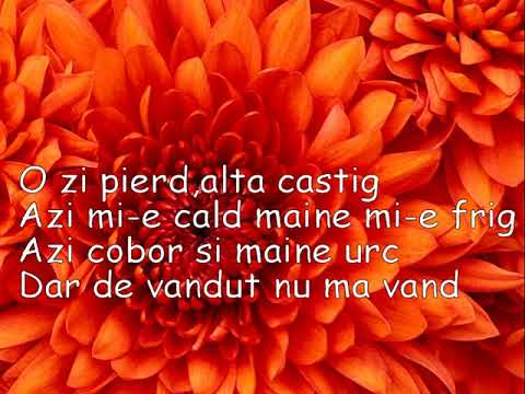 Ioan Marcu -Am pus pret pe omenie -negativ