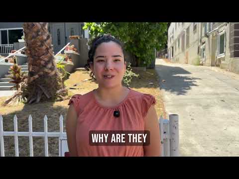 Keeping Koreatown Safe