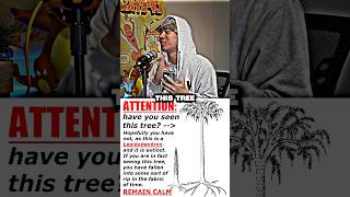 Lepidodendron Tree: Made Up Fantasy or Reality? #mystery #ancientstory