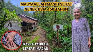 Download lagu INI MUSTAHIL NENEK BERUSIA 150 TAHUN BUKA WARUNG SENDIRI DI TENGAH HUTAN mp3