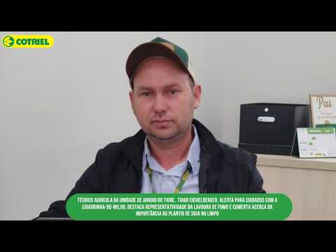 Tiago Eichelberger, técnico de Arroio do Tigre, projeta lavouras de inverno e plantio de verão