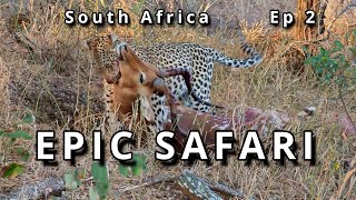 South Africa Safari Dream – Up Close with Leopards, Lions, Hyenas & Elephants