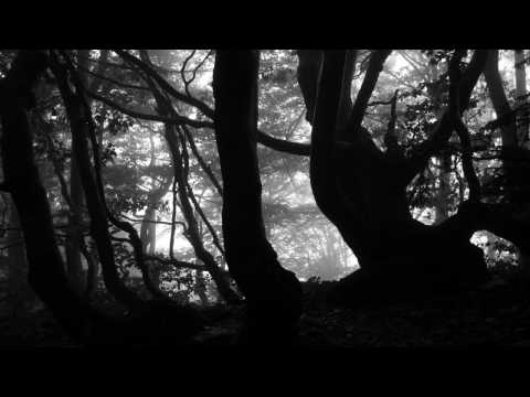 Wolna Grupa Bukowina - Między nami