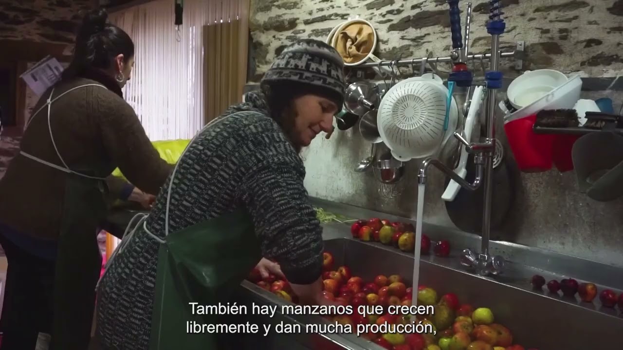 Ribeiregas | Son de Lugo