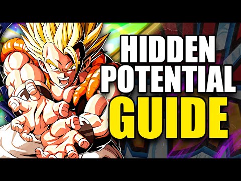 THE ULTIMATE DOKKAN HIDDEN POTENTIAL GUIDE, HOW TO FARM ORBS AND MORE! | DBZ: Dokkan Battle