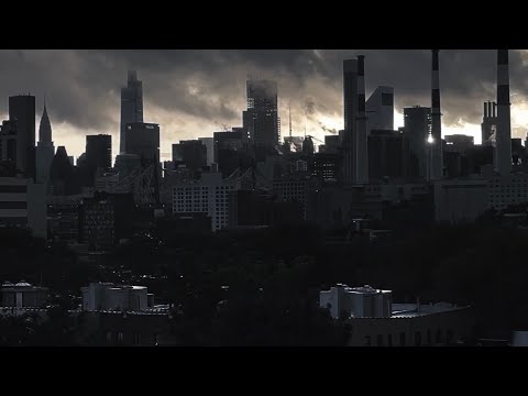 Volodymyr Voyt - Chestnuts after a rain