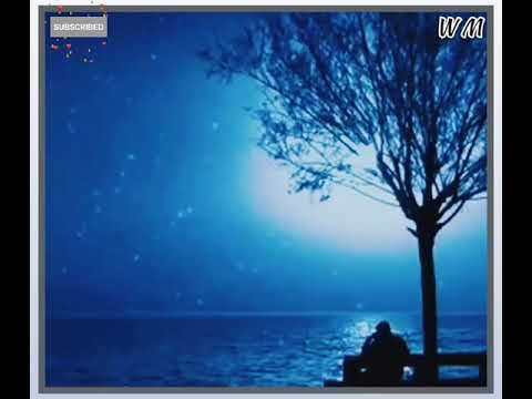 Tunhjon Yadon Aien He Akelai | WhatsApp Status | W M Official Editx | More Video's 👍 & Subscribe