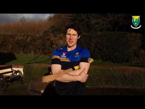 Wicklow GAA Hurling Danny Staunton