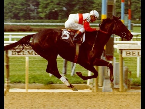 RUFFIAN : Documentary