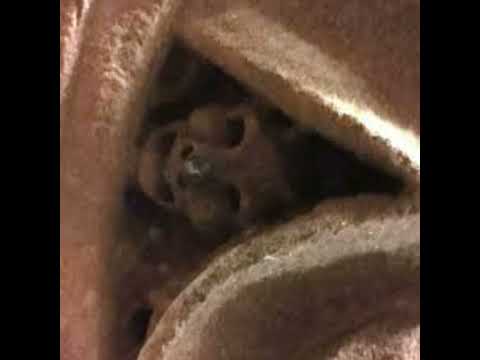 Episode 144: The Million Dollar Curse and other tales from Albany