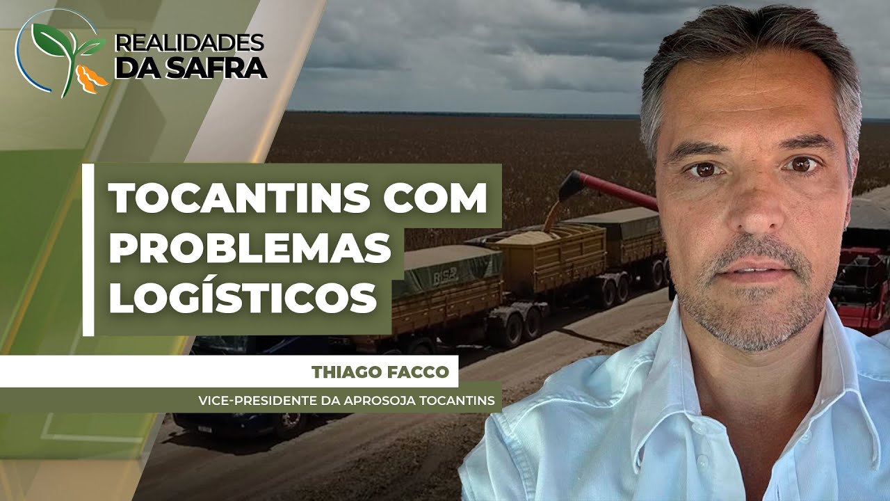 Colheita da soja avança no Tocantins e produtores enfrentam dificuldades logísticas
