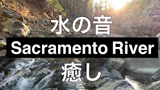[癒し] 水の音　サクラメントリバー　Sacramento River #shasta #シャスタ #水の音